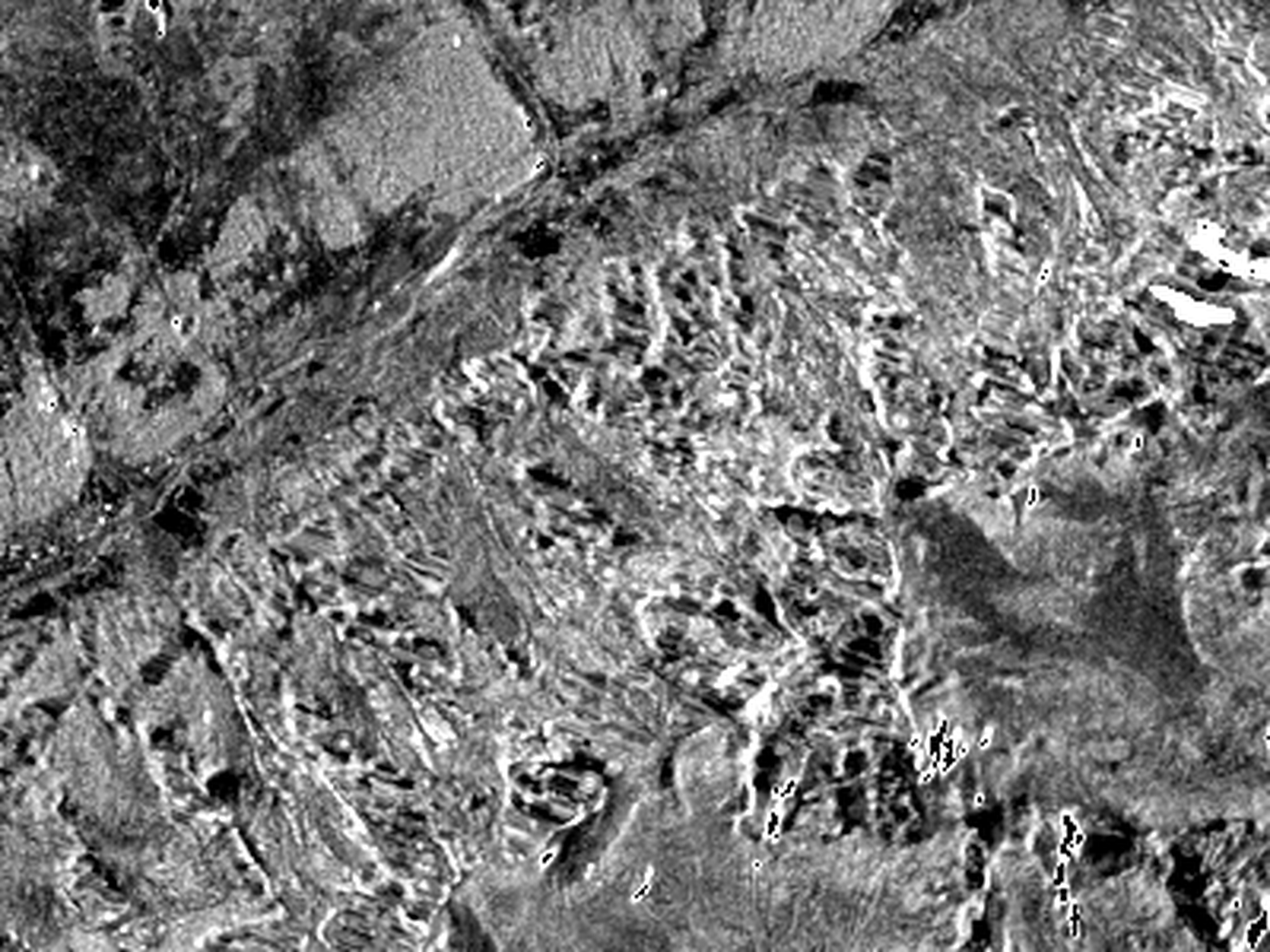 NISAR, L-band radar over the same area